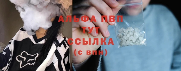 индика Абдулино