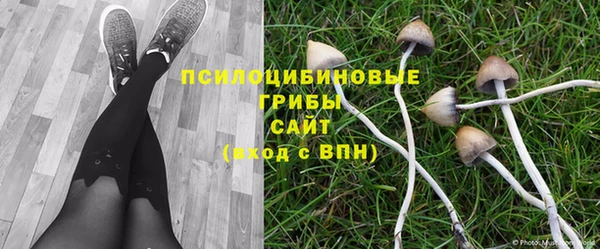 прущая мука Абаза