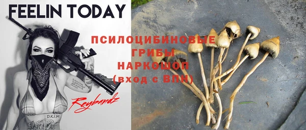 ECSTASY Приозерск