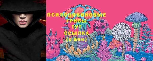 индика Абдулино