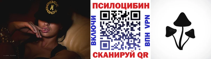 Псилоцибиновые грибы Cubensis  Донской 